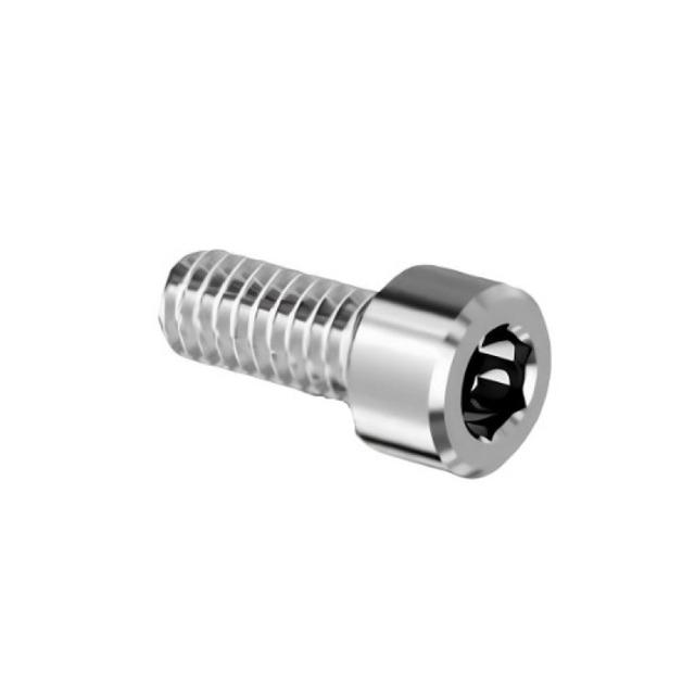 Screw Trox On Ankylos Abutment For Angled Channel 25º